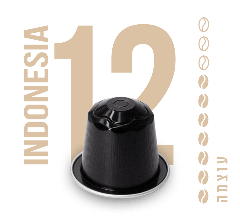 קפסולות אינדונזיה 12 image number 0